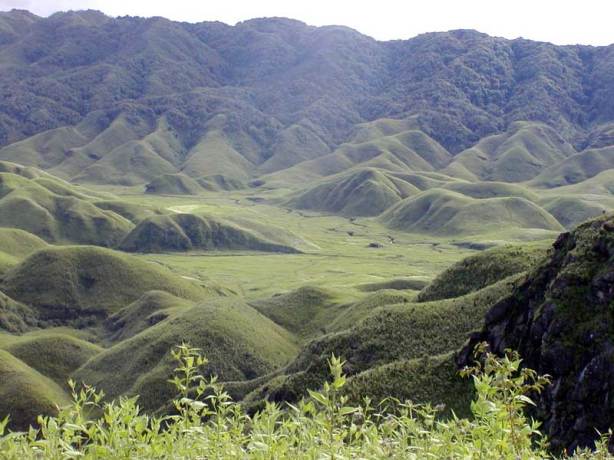 Nagaland Tourist Places 2 - dzukou valley nagaland